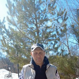 ������, 39 ���, ����