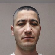 ����, 41 ���, ������