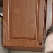 ��������, 60 ���, ����