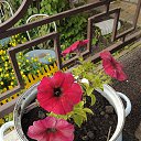 ���� �������, ������, 47 ��� - ��������� 11 ����� 2025