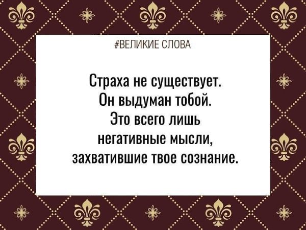 ������� ����� | ������, ����� � �������� - 12 ������� 2025 � 13:43