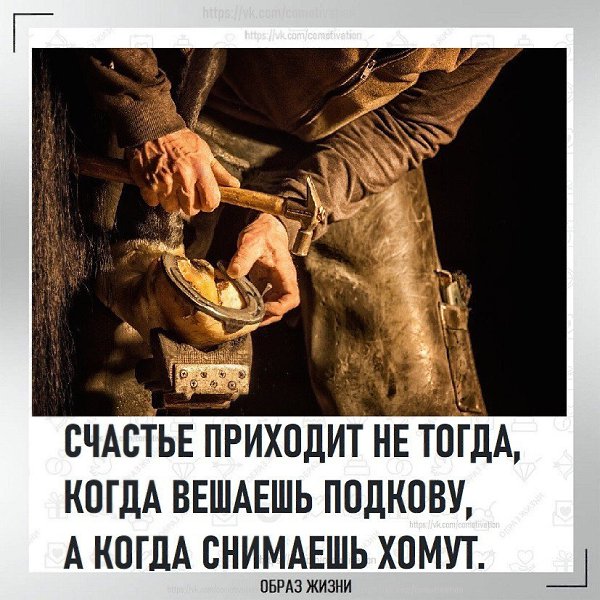 Co-Motivation....����� �����. - 1 ���� 2025 � 21:01