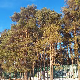 ���� ���, ������, 64 ���� - ��������� 30 ������� 2023