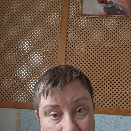 ���, 38 ���, ����������