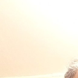 ������, �����������, 51 ���