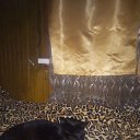 ���� �������, �����-���������, 20 ��� - ��������� 20 ������� 2024