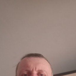 ���������, 43 ����, ���������