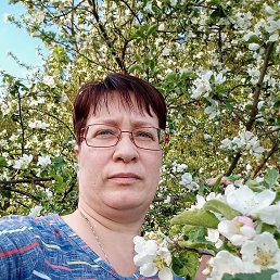 , 50, 