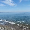 ���� �������, ������, 36 ��� - ��������� 12 ������ 2025 � ������ ���� ����������