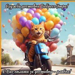 �������, �����, 60 ���