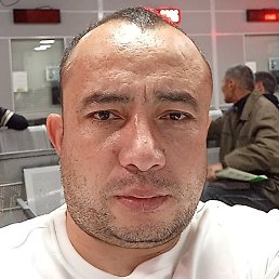 �����, ������, 40 ���