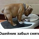 ���� Alex, ������, 62 ���� - ��������� 17 �������� 2025 � ������ ������ ��������