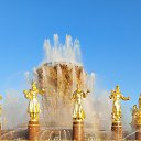 ���� ���������, ����������, 56 ��� - ��������� 2 ���� 2024