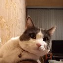 ���� ��������, ������, 61 ��� - ��������� 27 ������ 2025 � ������ ������ ��������