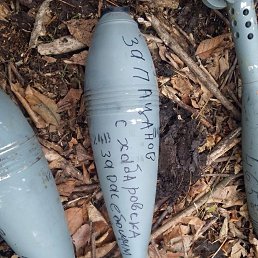 ���� �����, ���������, 50 ��� - ��������� 6 ����� 2026