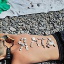 ���� ����, ��������� - ��������� 3 ������� 2025 � ������ ���� ����������