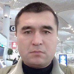 ����� ��������, ������, 43 ����