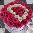 ���� �����, �������, 35 ��� - ��������� 15 ������ 2026 � ������ ���� ����������