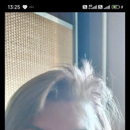 , 53, 