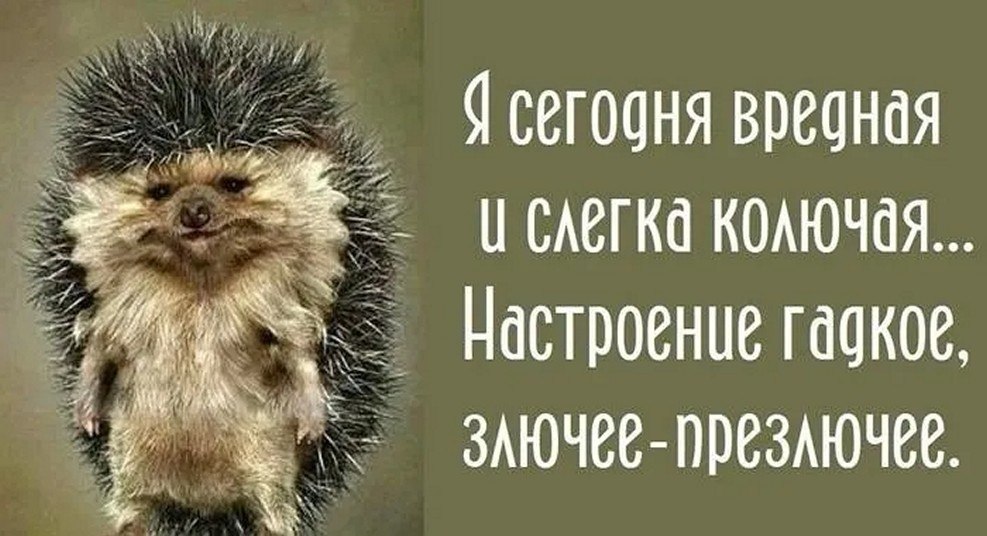 ☆������ �����☆ - 8 ������� 2025 � 12:20