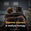 ���� ����, ���������, 59 ��� - ��������� 13 ������� 2025 � ������ ���� ����������