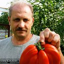 ���� �����, ������ - ��������� 25 ������ 2023 � ������ ���� ����������