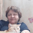 ���� �����, �������, 73 ���� - ��������� 20 ������� 2024 � ������ ���� ����������