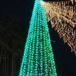 ���� ���, ������, 27 ��� - ��������� 25 ����� 2024