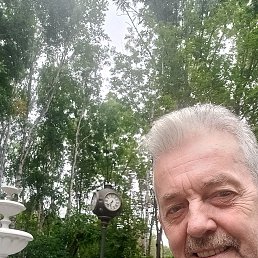 , 59 , 