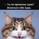 ���� ��������, ����������, 29 ��� - ��������� 13 ����� 2025 � ������ ���� ����������