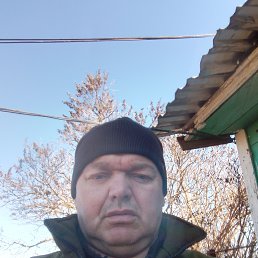 , 48, 