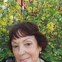 , 61, 