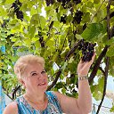 ���� ���������, ��������, 60 ��� - ��������� 19 �������� 2025