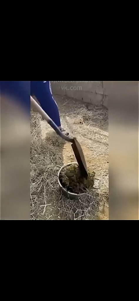 ����� ���� ������� ������ - 2