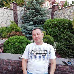 ����, 46 ���, ������������