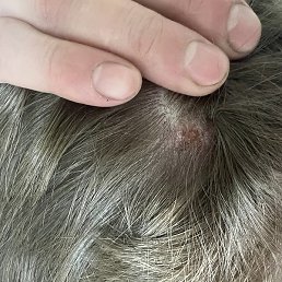 Jsjd, ������, 23 ����