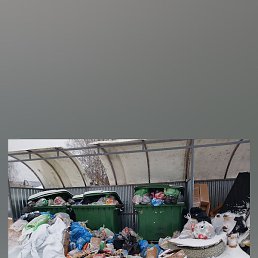 ����, ������ ��������, 65 ���