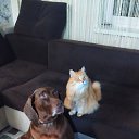 ���� ��������, ������, 57 ��� - ��������� 7 ������ 2024