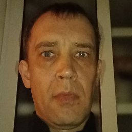 �����, ������, 41 ���