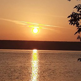 �������, ��������, 51 ���