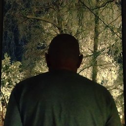 ���� ��������, ������, 54 ���� - ��������� 21 ���� 2025