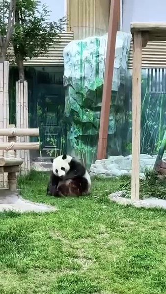 �� ��� ����� ������ ������ �� ����� ���... - 2