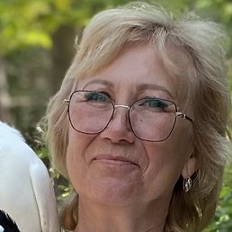 �������, ������, 61 ���