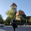 ���� ��������, ������������, 57 ��� - ��������� 11 ���� 2024 � ������ ���� ����������