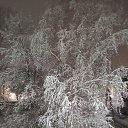 ���� �����, ��������, 61 ��� - ��������� 31 ������� 2024 � ������ ������ ��������