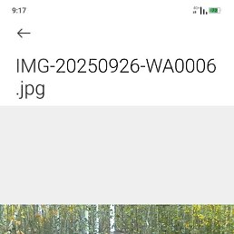 �����, ����, 47 ���