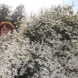 �������, ������, 55 ���