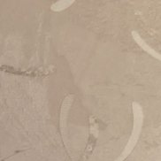 , 41 , 