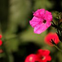 ���� �.�., ���� - ��������� 5 �������� 2024 � ������ ������ 2024�