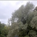 ���� ������, �����-��������� - ��������� 6 ���� 2024 � ������ ���� ����������